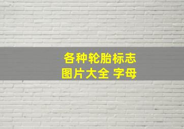 各种轮胎标志图片大全 字母